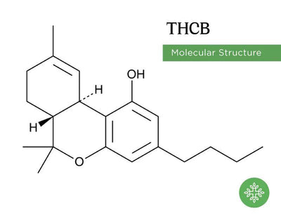 Vad är THCB + THCH?